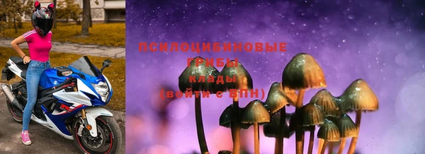 дживик Кулебаки
