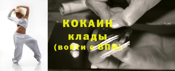 ПСИЛОЦИБИНОВЫЕ ГРИБЫ Горно-Алтайск