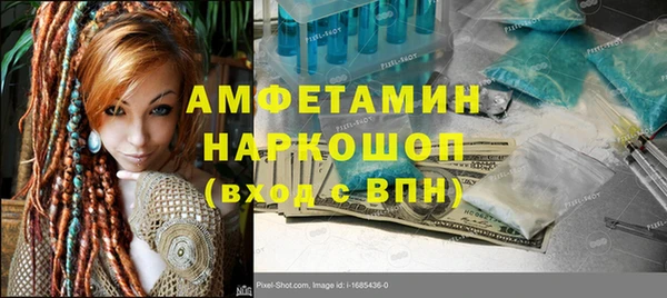 ПСИЛОЦИБИНОВЫЕ ГРИБЫ Горно-Алтайск