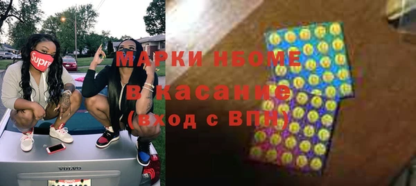 ПСИЛОЦИБИНОВЫЕ ГРИБЫ Горно-Алтайск