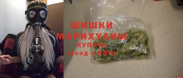 ПСИЛОЦИБИНОВЫЕ ГРИБЫ Горно-Алтайск